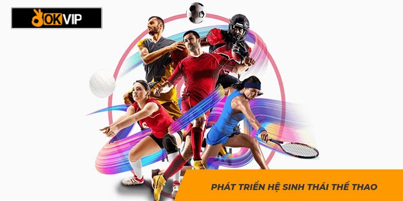 Nền tảng cá cược Sports đẳng cấp